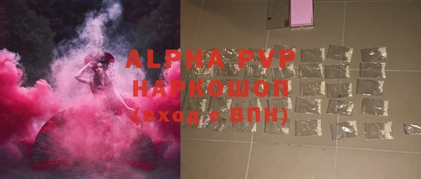бошки Белокуриха