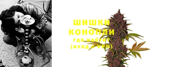 бошки Белокуриха