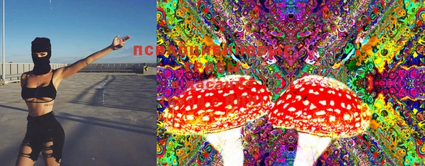 бошки Белокуриха