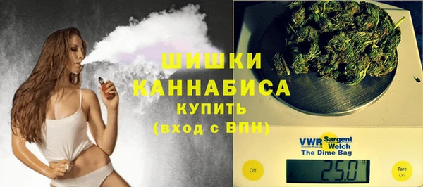 бошки Белокуриха