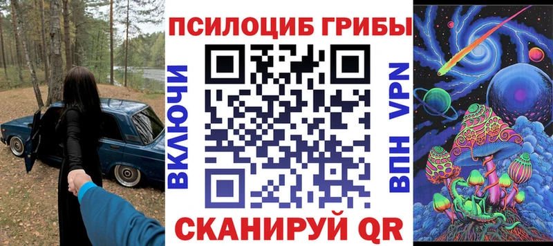 Галлюциногенные грибы Psilocybine cubensis  Михайлов 
